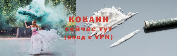бошки Коряжма