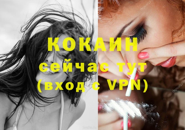 бошки Коряжма