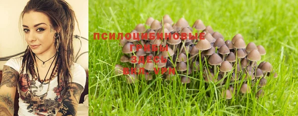 дурь Корсаков