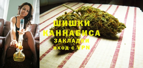 бошки Коряжма