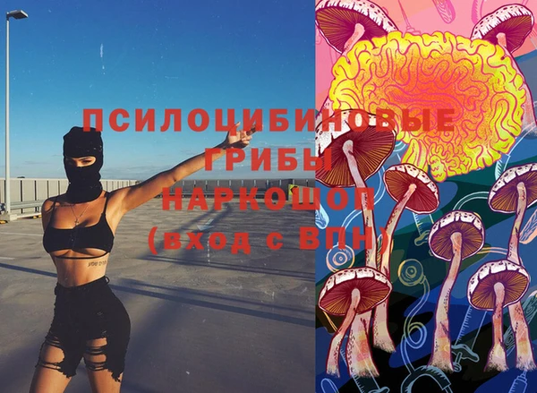 дурь Корсаков