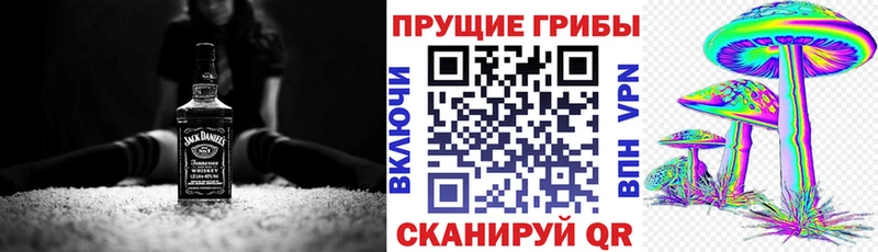 где купить наркоту  Артём  Псилоцибиновые грибы MAGIC MUSHROOMS 